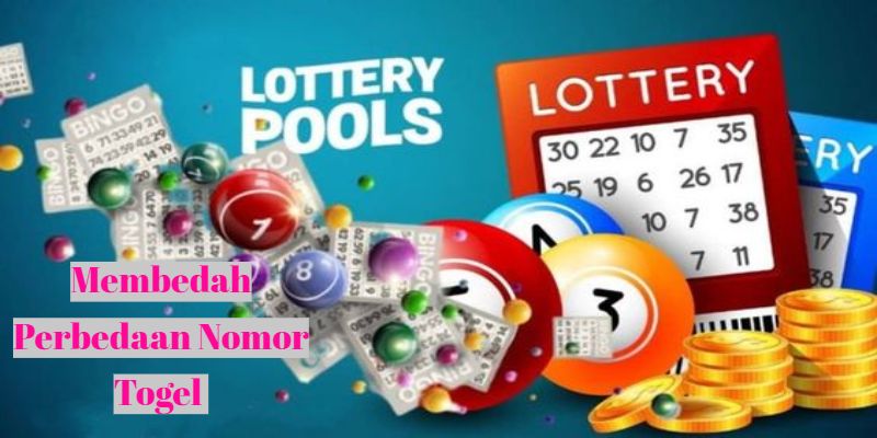 Membedah Perbedaan Nomor Togel