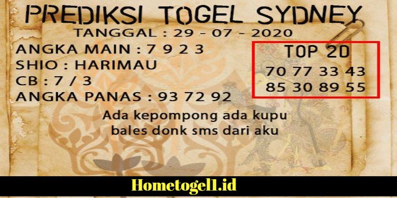 Panduan Lengkap Memahami RTP Live Hometogel