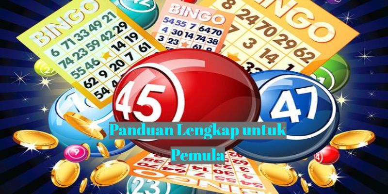 Panduan Lengkap untuk Pemula