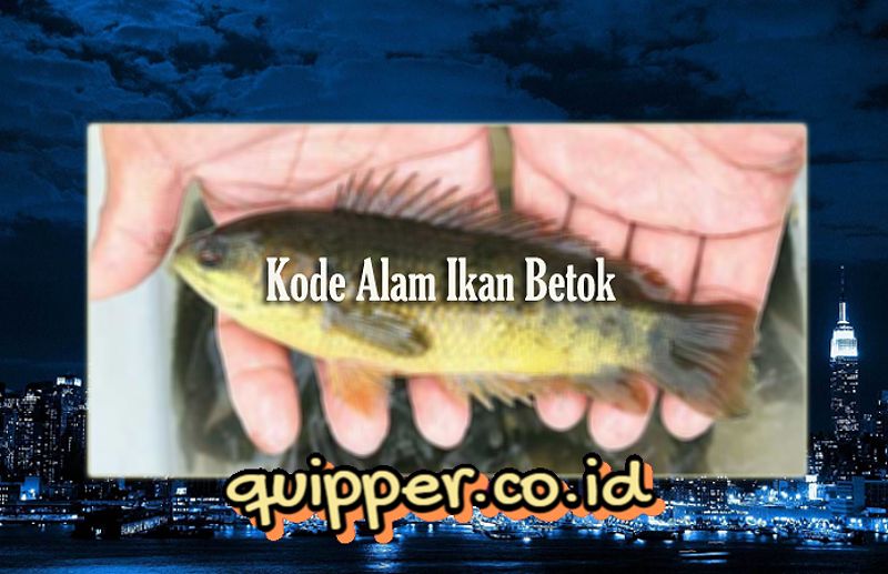 Angka Keberuntungan Mimpi Mancing Ikan Betok Togel 1