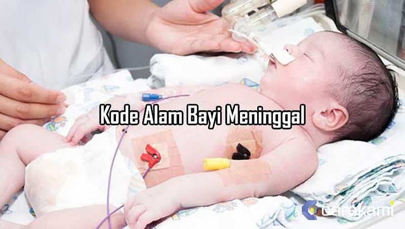 Kode Alam Bayi Meninggal