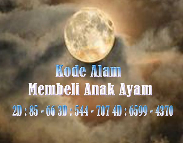 Kode Alam Membeli Anak Ayam