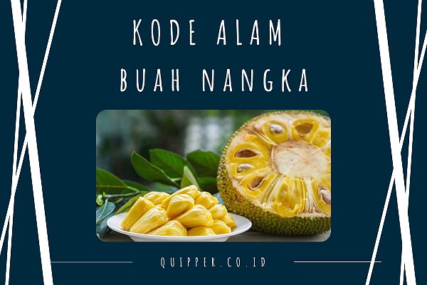 Buah Nangka