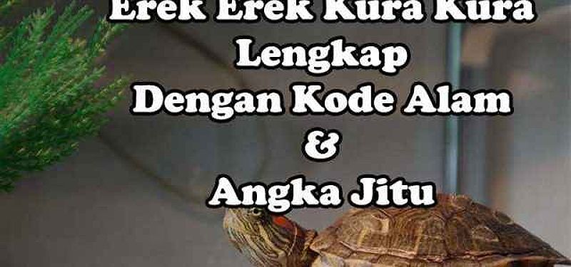 Erek Erek Kura Kura Lengkap, Kode Alam Dan Angka Jitu