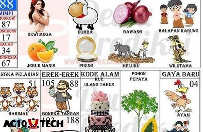 Memahami Probabilitas dan Statistik dalam Togel Hongkong 1